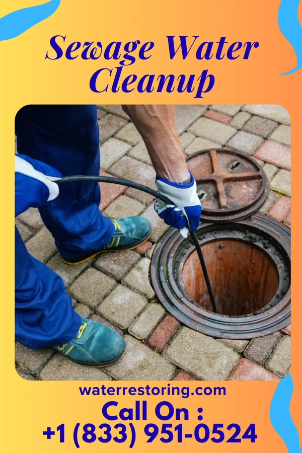 Sewage Water Cleanup in Southwest City, MO