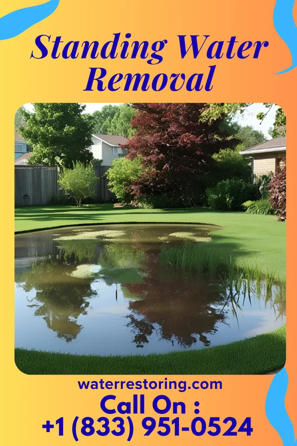 Standing Water Removal in Southwest City, MO